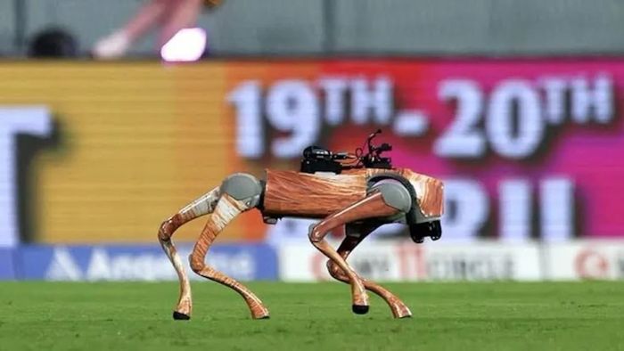 IPL AI Robot Dog