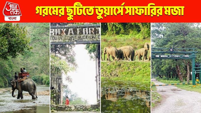 সামার ভ্যাকেশনে ডুয়ার্স! কোথায় কোথায় জঙ্গল সাফারি এখন খোলা, দেখে নিন সম্পূর্ণ তালিকা