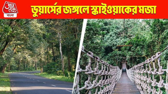 এবার ডুয়ার্সের জঙ্গলের উপর দিয়ে স্কাইওয়াক, পর্যটকদের জন্য দারুণ খবর
