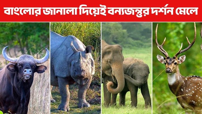 Интимдік пирсингтер мен фотосуреттер галереясы Бисексуалды порно онлайн