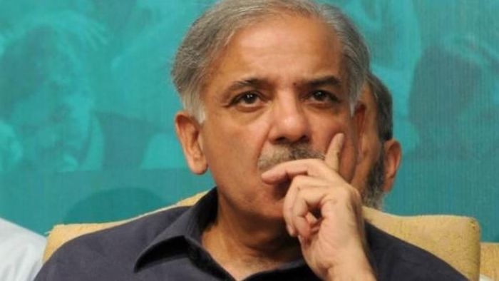 ফাইল চিত্র।