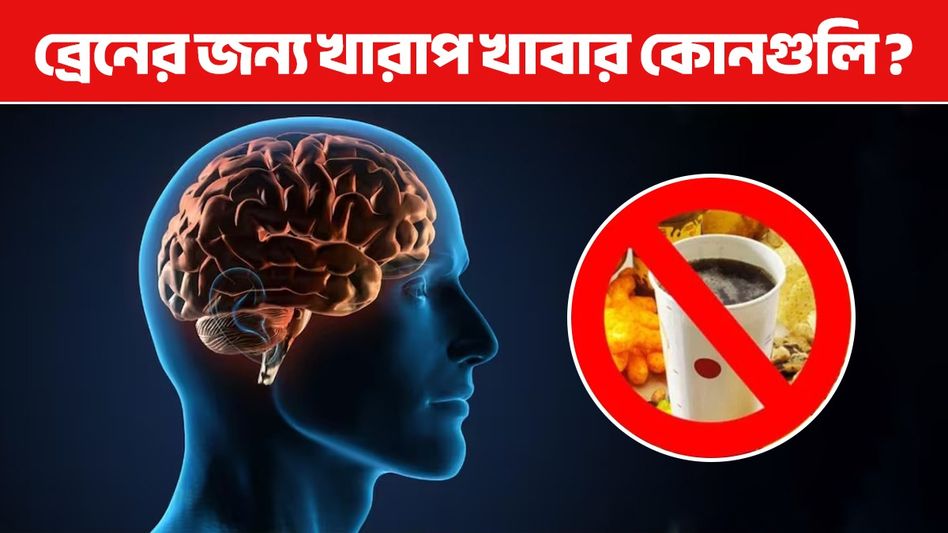 এই জিনিসগুলো মস্তিষ্কের জন্য বিপজ্জনক, ব্রেনের ক্ষতি এড়াতে খাওয়ার আগে জেনে নিন এই জিনিসগুলো মস্তিষ্কের জন্য বিপজ্জনক, ব্রেনের ক্ষতি এড়াতে খাওয়ার আগে জেনে নিন