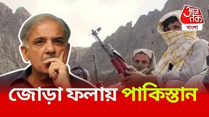 টার্গেট পাক সেনা ও পুলিশ, বালুচিস্তানের ৩৯টি জায়গায় হামলা BLA-র