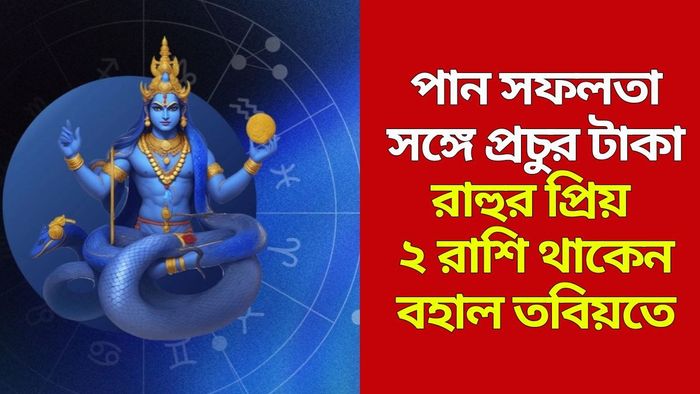 রাহুর প্রিয় রাশি