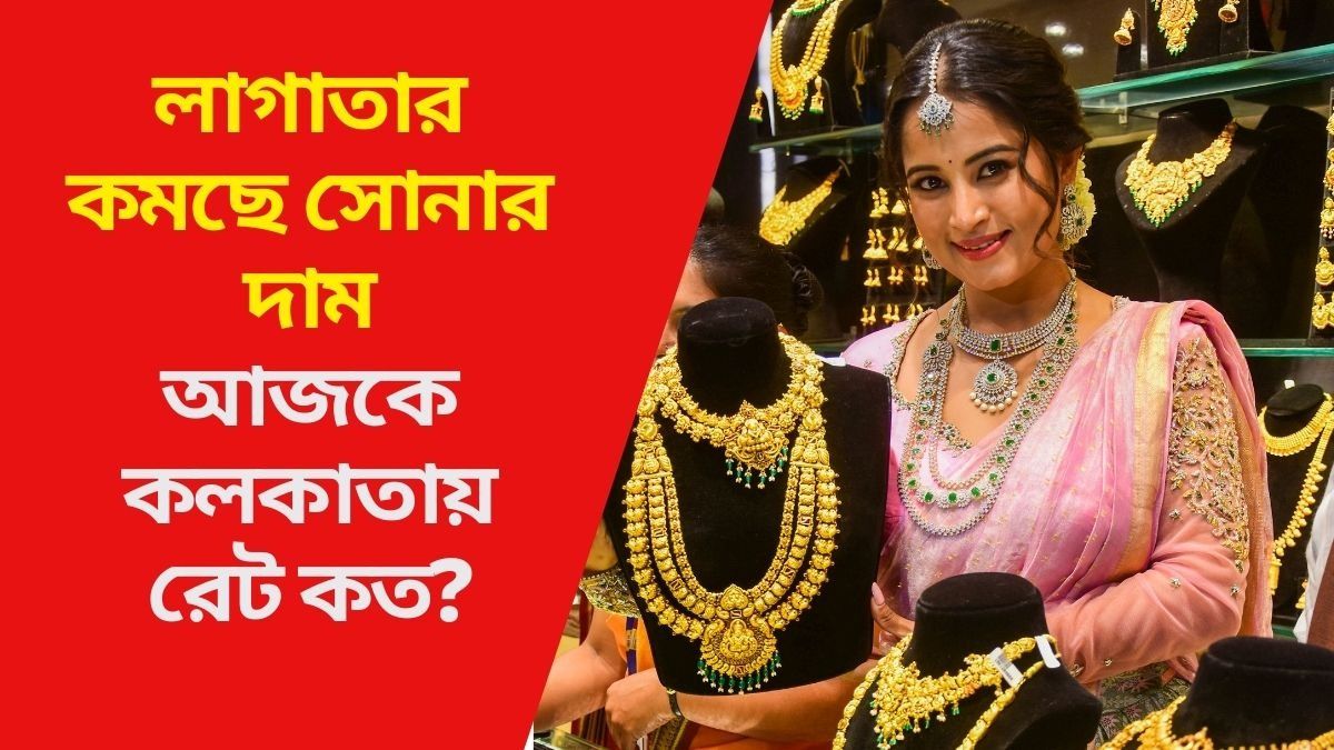 আজও কমল সোনার দাম, আগামী সপ্তাহে রেট কী হবে? জানুন আপডেট আজও কমল সোনার দাম, আগামী সপ্তাহে রেট কী হবে? জানুন আপডেট