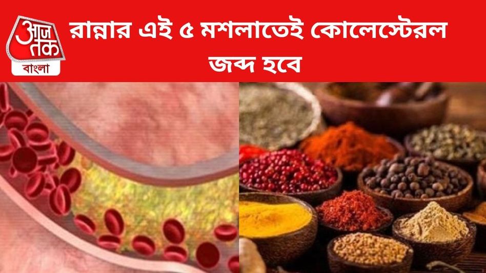 খারাপ কোলেস্টেরল বের করে দেয় শরীর থেকে, রান্নাঘরের এই ৫ মশলা চিনুন খারাপ কোলেস্টেরল বের করে দেয় শরীর থেকে, রান্নাঘরের এই ৫ মশলা চিনুন