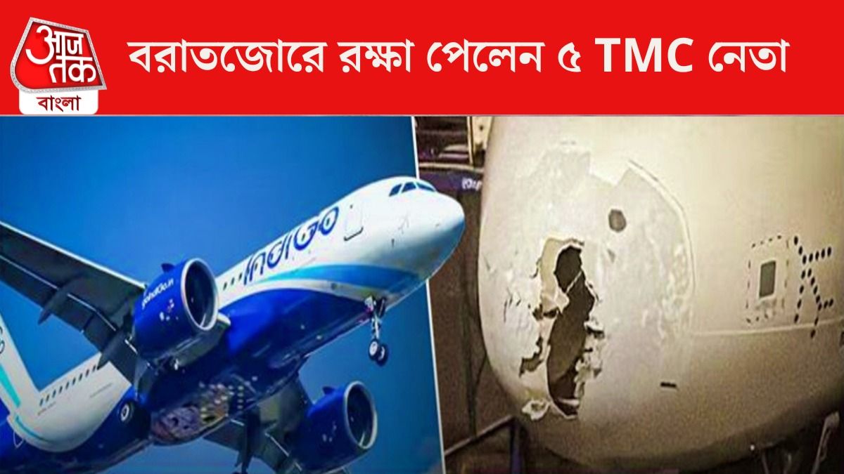 Indigo Flight In Turbulence