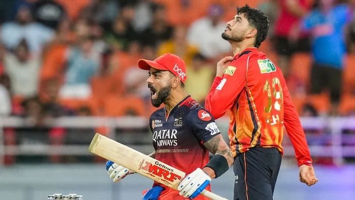 IPL ফাইনালের আগেই বিপাকে PBKS, চ্যাম্পিয়ন হওয়া নিশ্চিত RCB-র!