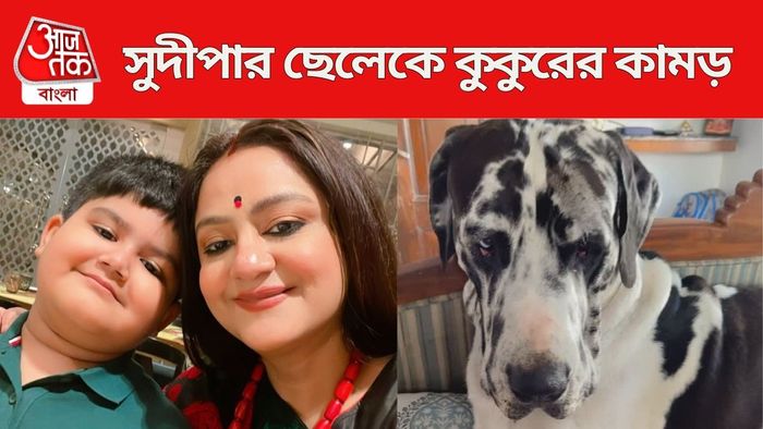 সুদীপার ছেলেকে কুকুরের কামড়