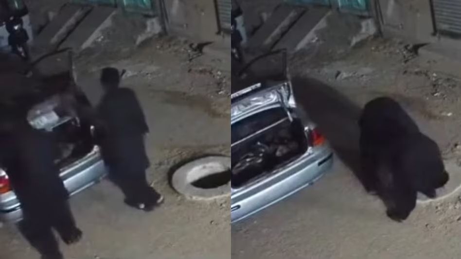 ম্যানহোলের ঢাকনা চুরি করতে লাক্সারি গাড়িতে এল চোর! ভাইরাল Video ম্যানহোলের ঢাকনা চুরি করতে লাক্সারি গাড়িতে এল চোর! ভাইরাল Video