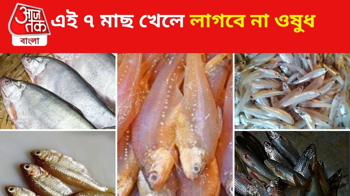 বাংলার মাছ