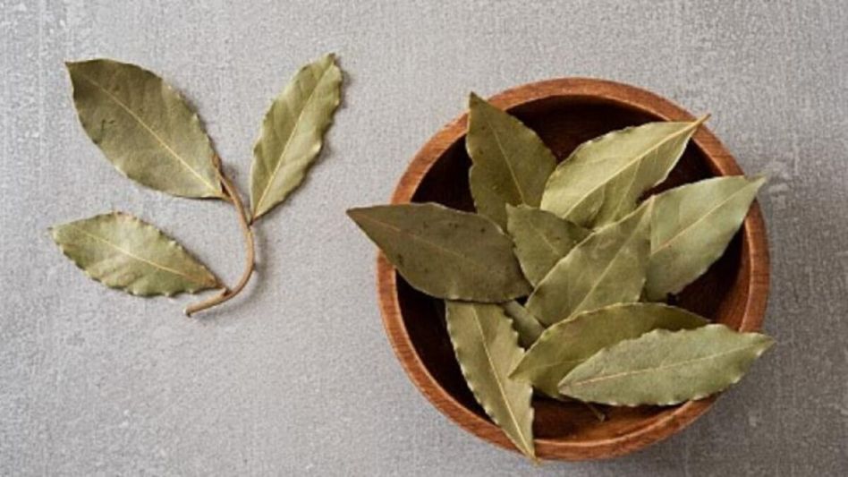 ডায়াবেটিস রোগীদের জন্য তেজপাতা জাদুকরী, এভাবে খেলে নিয়ন্ত্রণে থাকে ডায়াবেটিস রোগীদের জন্য তেজপাতা জাদুকরী, এভাবে খেলে নিয়ন্ত্রণে থাকে