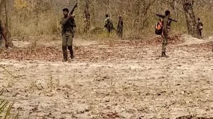 ফাইল চিত্র।