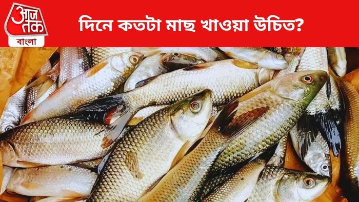 ফাইল চিত্র।