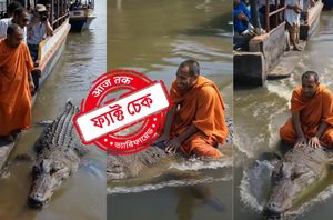 Social Media Users Social Media Users