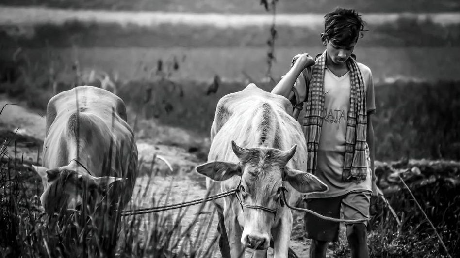 বঙ্গোপসাগরে ঘূর্ণাবর্তের জের, ৯ জেলায় অতি ভারী বৃষ্টির সতর্কতা; কবে থেকে? বঙ্গোপসাগরে ঘূর্ণাবর্তের জের, ৯ জেলায় অতি ভারী বৃষ্টির সতর্কতা; কবে থেকে?