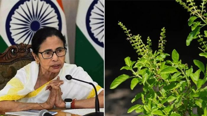 পশ্চিমবঙ্গে বিজেপি-র তুলসী রাজনীতি নিয়ে মমতা বন্দ্যোপাধ্যায়