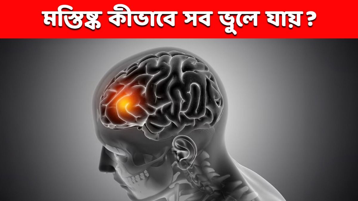 ব্রেন কি খারাপ স্মৃতি নিজে থেকেই মুছে ফেলে? গবেষণায় বেরিয়ে এসেছে চমকপ্রদ তথ্য