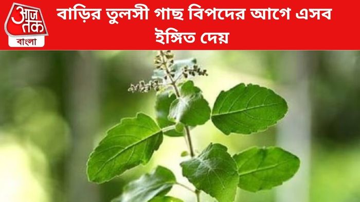 ফাইল চিত্র।