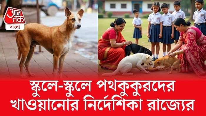 স্কুলে স্কুলে পথকুকুরদের খাওয়ানোর নির্দেশ, রাজ্যের নতুন উদ্যোগে চিন্তায় শিক্ষক মহল