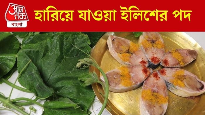 ইলিশ মাছের হারানো পদ