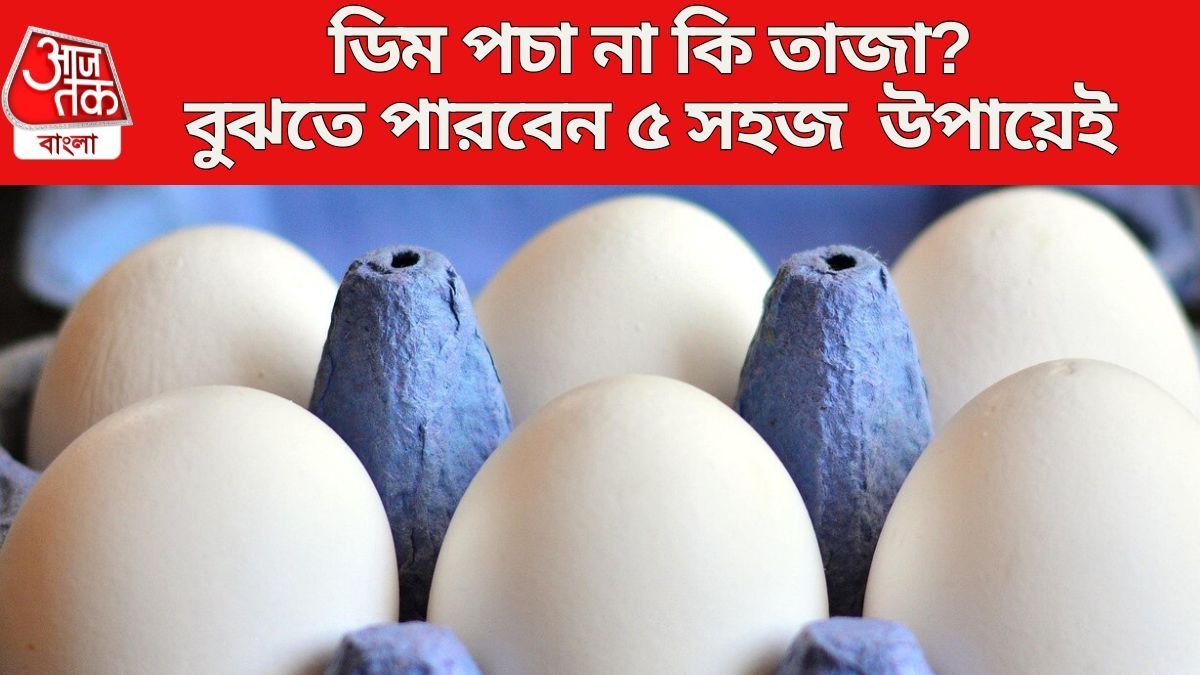 ডিম পচা না কি তাজা?