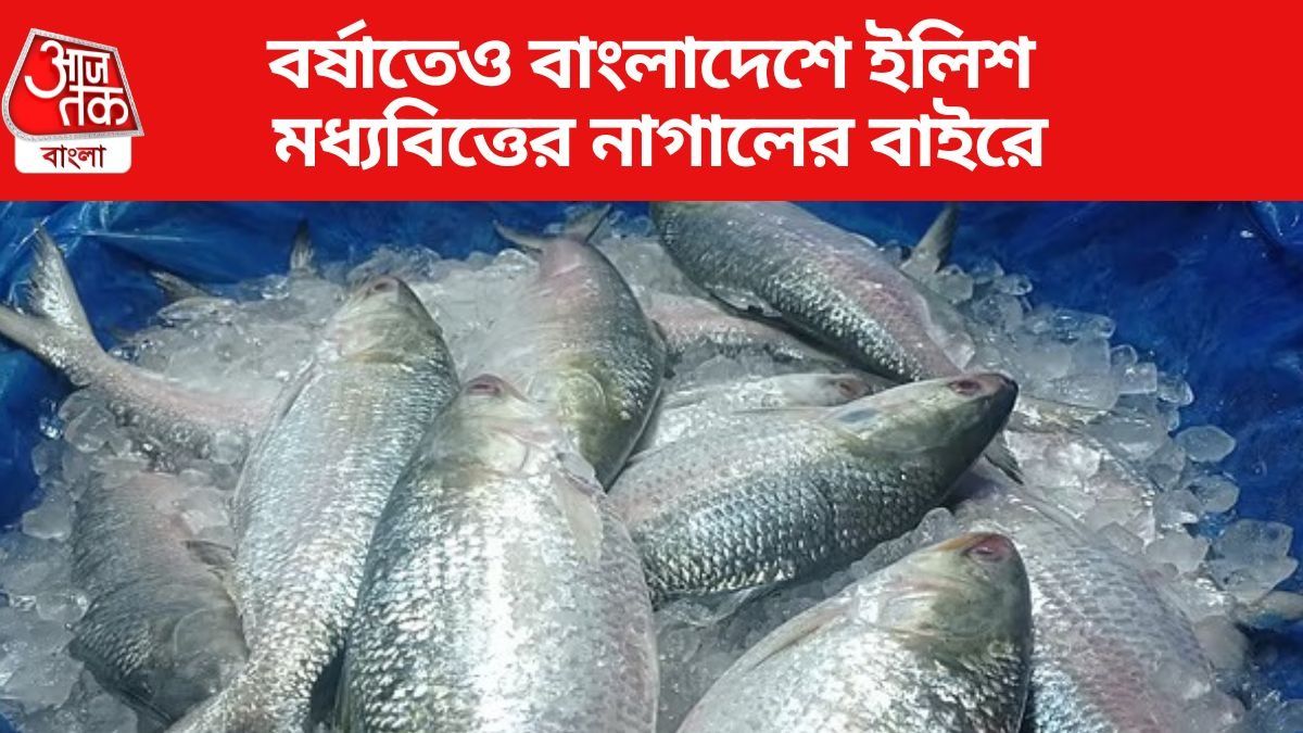 বর্ষাতেও বাংলাদেশে ইলিশ মধ্যবিত্তের নাগালের বাইরে