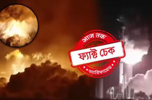 Social media users Social media users