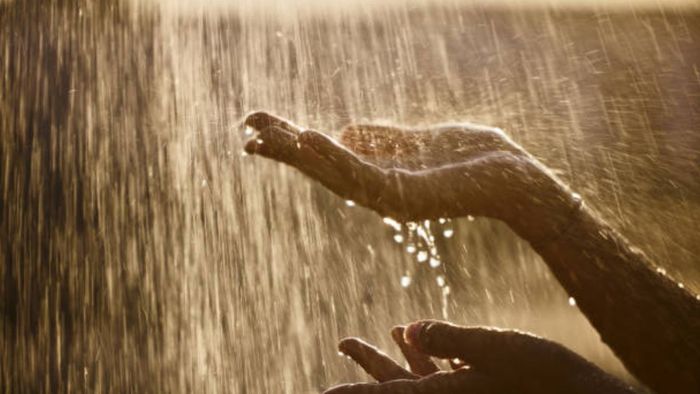 বৃষ্টির জলই বছরে কয়েক হাজার টাকা বাঁচাতে পারে, ৯০% মানুষ জানেন না