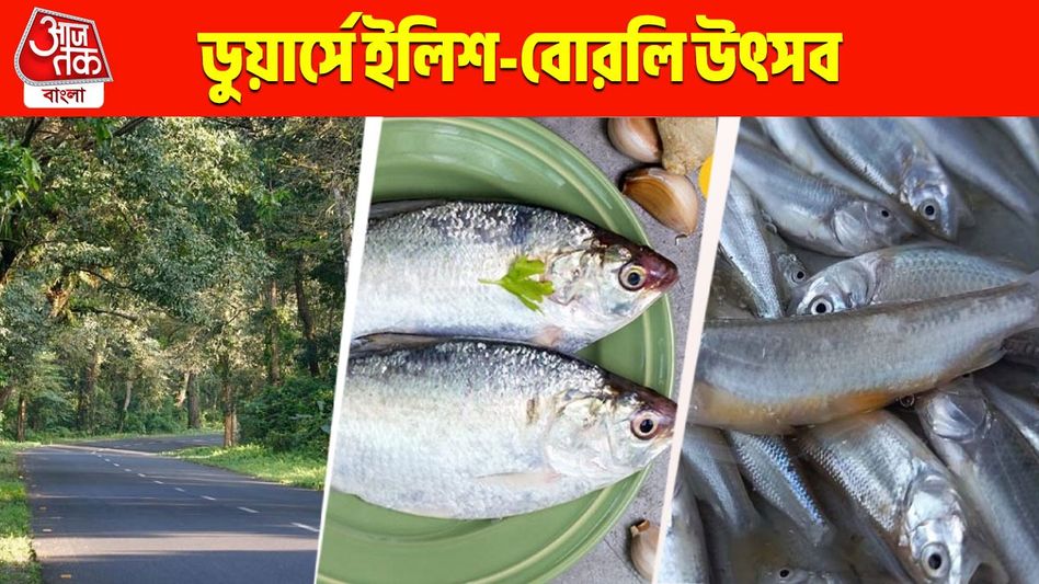 ডুয়ার্সের জঙ্গলে ইলিশ-বোরোলি উত্সব, বর্ষার সেই স্বর্গীয় অনুভূতির ঠিকানা রইল ডুয়ার্সের জঙ্গলে ইলিশ-বোরোলি উত্সব, বর্ষার সেই স্বর্গীয় অনুভূতির ঠিকানা রইল