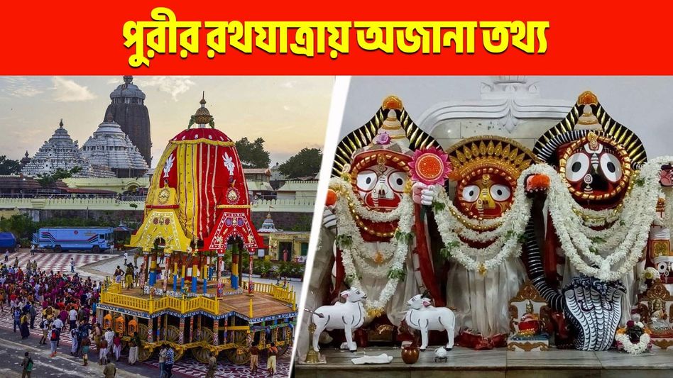 রথের কাঠ, রং থেকে নাম, সব হয় নির্দিষ্ট রীতি মেনে! পুরীর রথযাত্রার অজানা তথ্য  রথের কাঠ, রং থেকে নাম, সব হয় নির্দিষ্ট রীতি মেনে! পুরীর রথযাত্রার অজানা তথ্য