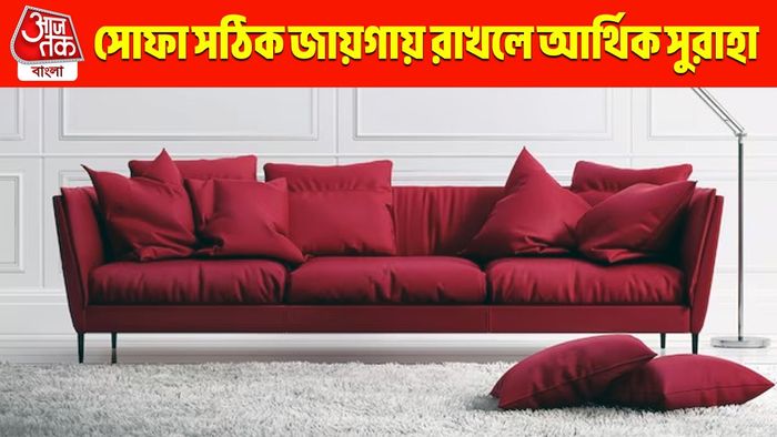 ঘরের সোফা এভাবে রাখলে, কখনও টাকার অভাব হবে না