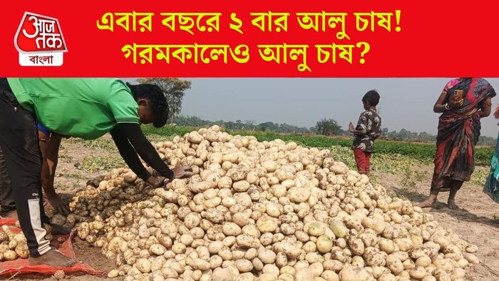 এবার বছরে ২ বার আলু চাষ করতে পারবেন কৃষকরা, আসছে নতুন বীজ