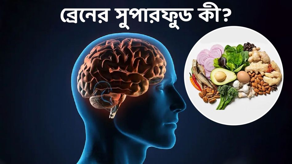 ব্রেনের সুপারফুড এসব খাবার, নিয়মিত খেলে বৃদ্ধ বয়স পর্যন্ত স্মৃতিশক্তি তীক্ষ্ণ থাকে ব্রেনের সুপারফুড এসব খাবার, নিয়মিত খেলে বৃদ্ধ বয়স পর্যন্ত স্মৃতিশক্তি তীক্ষ্ণ থাকে