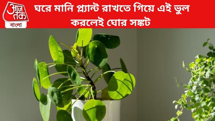 ফাইল চিত্র।