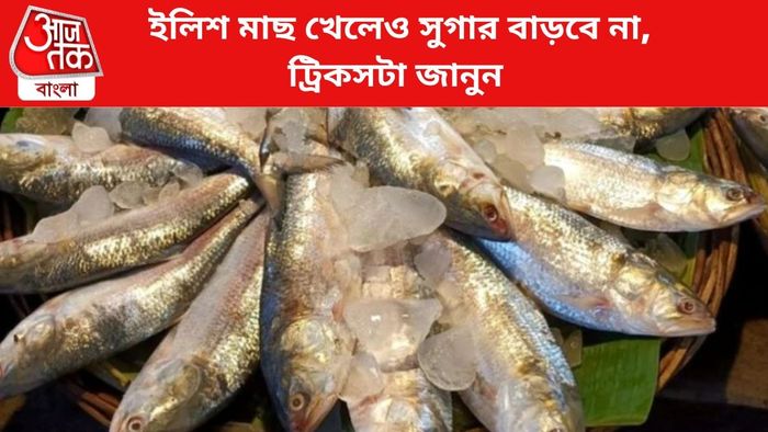 ফাইল চিত্র।