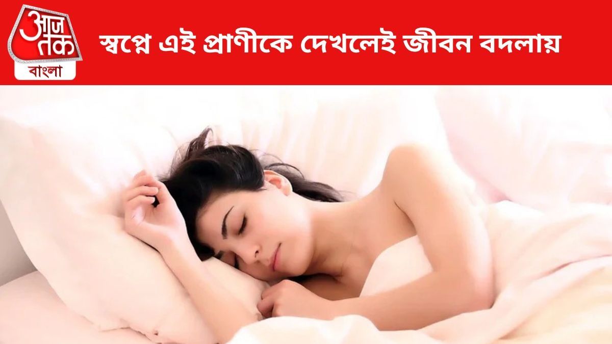 প্রতীকী চিত্র।