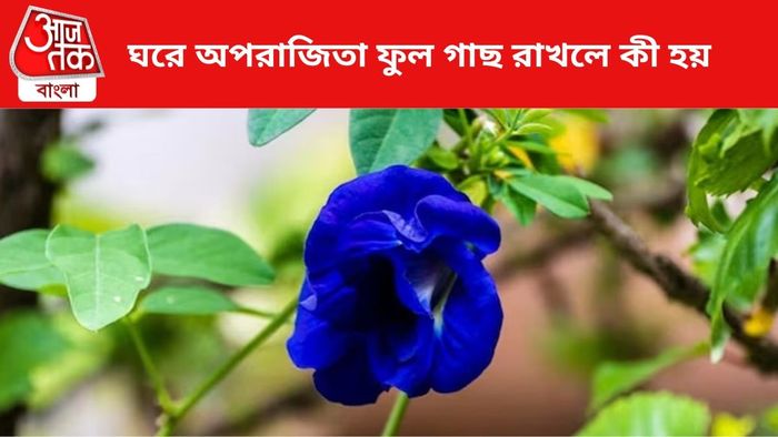 ফাইল চিত্র।