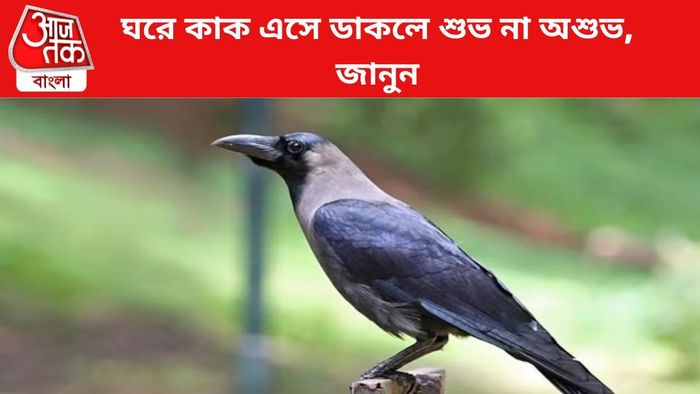 ফাইল চিত্র।