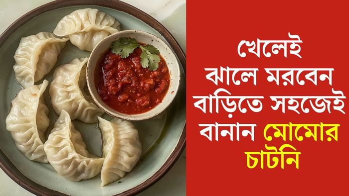 মোমোর চাটনি রেসিপি