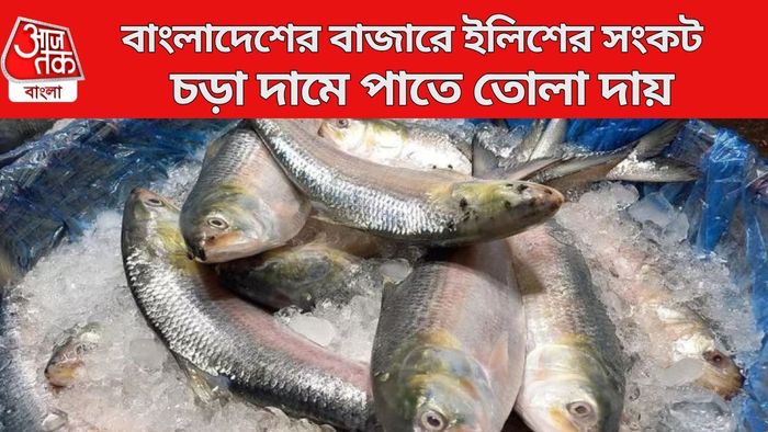 বাংলাদেশের বাজারে ইলিশের সংকট