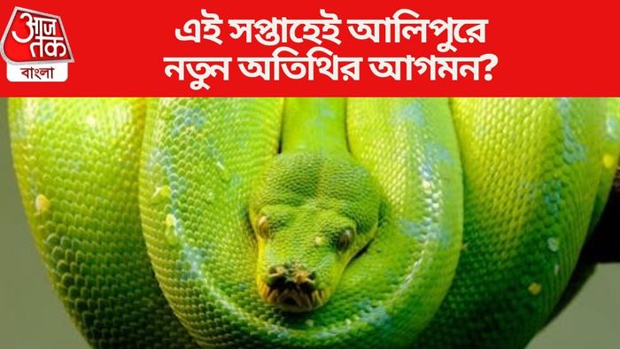 এই সপ্তাহেই আলিপুরে নতুন অতিথির আগমন?