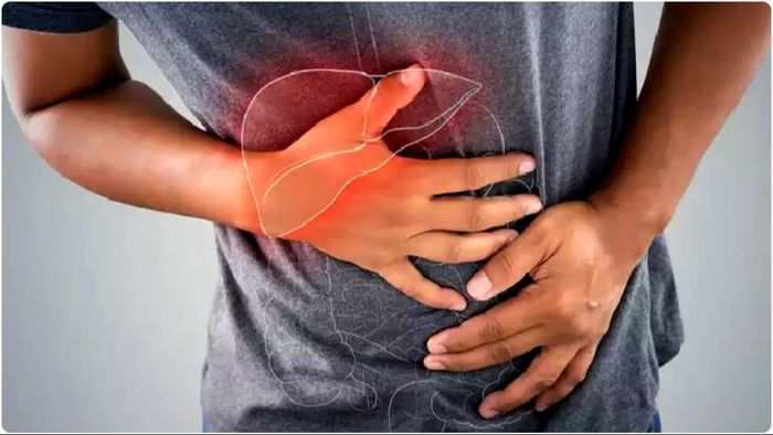 ফ্যাটি লিভারে কষ্ট পাচ্ছেন? এই ৫ ফল নিয়মিত খান, দ্রুত সুস্থ হবেন।