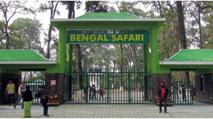 শিলিগুড়ি বেঙ্গল সাফারি পার্কে এল ১৮টি নতুন প্রাণী, পুজোর আগেই প্রকাশ্যে