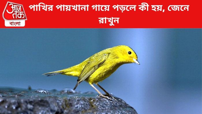 প্রতীকী চিত্র।