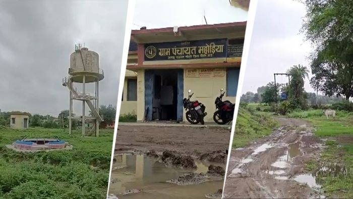 বাস্তবের ফুলেরার করুণ দশা।