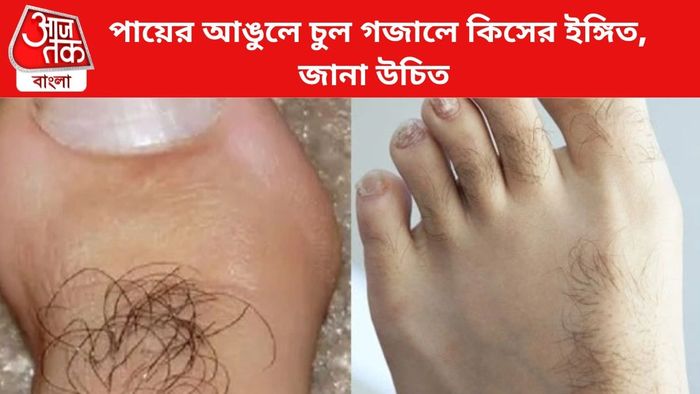 প্রতীকী চিত্র।