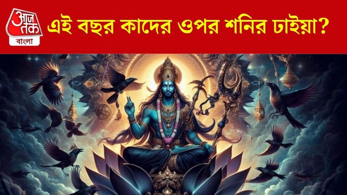 শনিদেবের ঢাইয়া