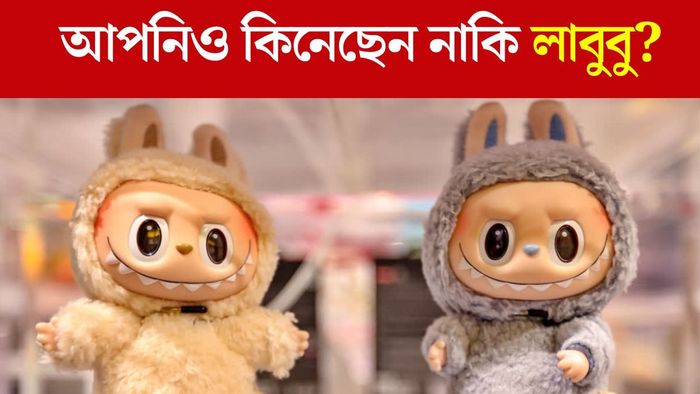 লাবুবু ডল