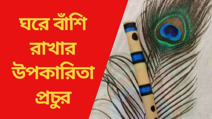 ঘরে বাঁশি রাখার উপকারিতা প্রচুর